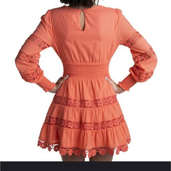 Designer Closette Chic Ruler Dress - Picture 4 of 4